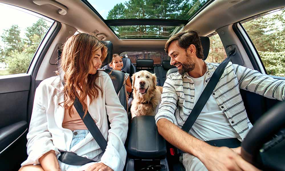 Une famille et son labrador sont dans une voiture